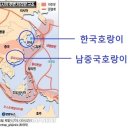 지진대와 상투로 보는 고대한국 문명의 전파 이미지