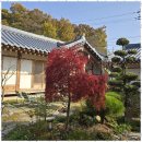 환화원