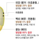 백미와 현미의 영양성분비교 이미지