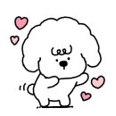 한채쭈꾸미 이미지