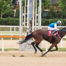 우승목장 이미지