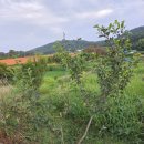 물레방아농장2 이미지