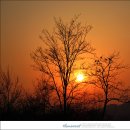 아라공원 이미지