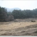 품은들농장