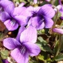 창신부동산중개 이미지