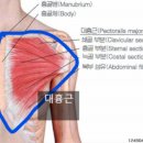 인창한의원 이미지