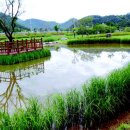 가대생태습지공원 네이버블로그