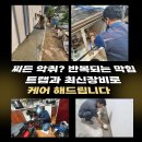 목상동 화장실 이미지