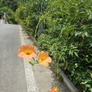 마창대교 | 마산 가포 맛집 어울림하우스 마창대교뷰 이탈리안 레스토랑 코스요리 후기