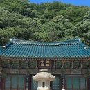 대불노인복지관 | 설악산 신흥사 설악산 천연보호구역 설악산 케이블카