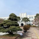 도담도담 한옥도서관 | 종로구 도서관 정독도서관