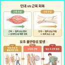 자연안에한의원중구점 네이버블로그
