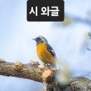 겨울 문을 열다 / 전연복 이미지