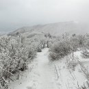 계방산[桂芳山] 1,577m 이미지