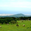 그린밸리펜션 이미지