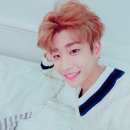 엠제이 Daum카페