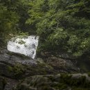 영월통로 이미지