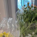 종합경기장(버스정류장) 이미지