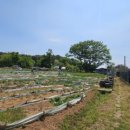 김한수농장 이미지