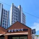 윤중원낙지 이미지
