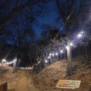 슬로우그라운드