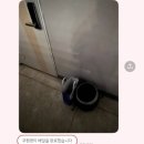 해맑은한의원 | [Daily] 10월, 몸도 마음도 코쓱모쓱