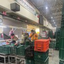 안동청과 이미지