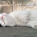 성동구청 뒤편 이미지