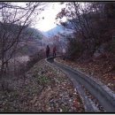 시루미