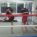 정함 체육관 이미지