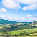 웰컴투목장 이미지