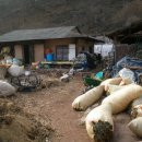 당리보건진료소 이미지