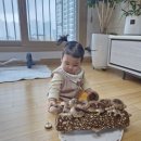 채은농장 Daum카페