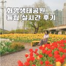 도시철도 금곡역 5번 출구 | 4월 부산 봄꽃 어디 갈까? 화명생태공원 튤립명소 P1주차장 가까워 편했던 방문후기
