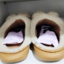 신발냄새제거 페네시아 신발탈취제 후기