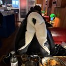 개신남 9호점 | [웨어스] wave to earth 사랑으로 0.3 첫콘 후기