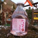 배산말농장 | 2013-4st. 랄라의 네번째현장 _ 남자의 인생은 벗꽃처럼..?