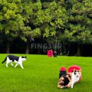 초원 골프연습장 | 오라CC 제주골프조인 접근성 최상 제주 감성 골프장 추천