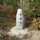 청도군-17 이미지