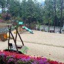 사천 케이블카 자연휴양림 이미지