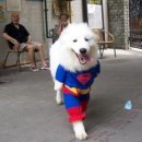 광명불가마사우나 이미지