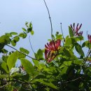 유니스빌딩 이미지