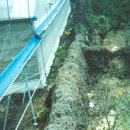 서광리-28 이미지