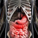 나은메디칼빌딩 이미지