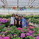 제주포인트투어 이미지