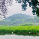 우산소류지 네이버블로그