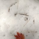 화천3리 이미지