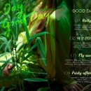 올굿데이