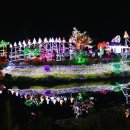 용봉산글램핑 이미지