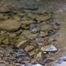 평창동강로 이미지